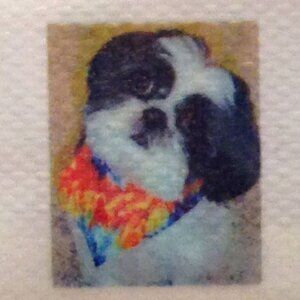 Diamond Painting Kit, adorable black and white puppy
